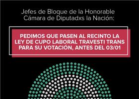 Flyer de la campaña dice: Jefes de bloque de la Honorable Cámara de Diputadxs de la Nación: Pedimos que pasen al Recinto la ley de cupo laboral travesti trans para su votación antes del 3 de enero. #cupolaboralTTNB2020 - Que sea ley - Asamblea Trava Trans Nobinarie por la Salud Integral. Facebook e Instagram @resistenciatranss. Twitter @transsresiste. Ilustra el volante un esquema de las bancas de la Cámara de Diputades ordenadas en semicírculo, con los colores celeste y blanco