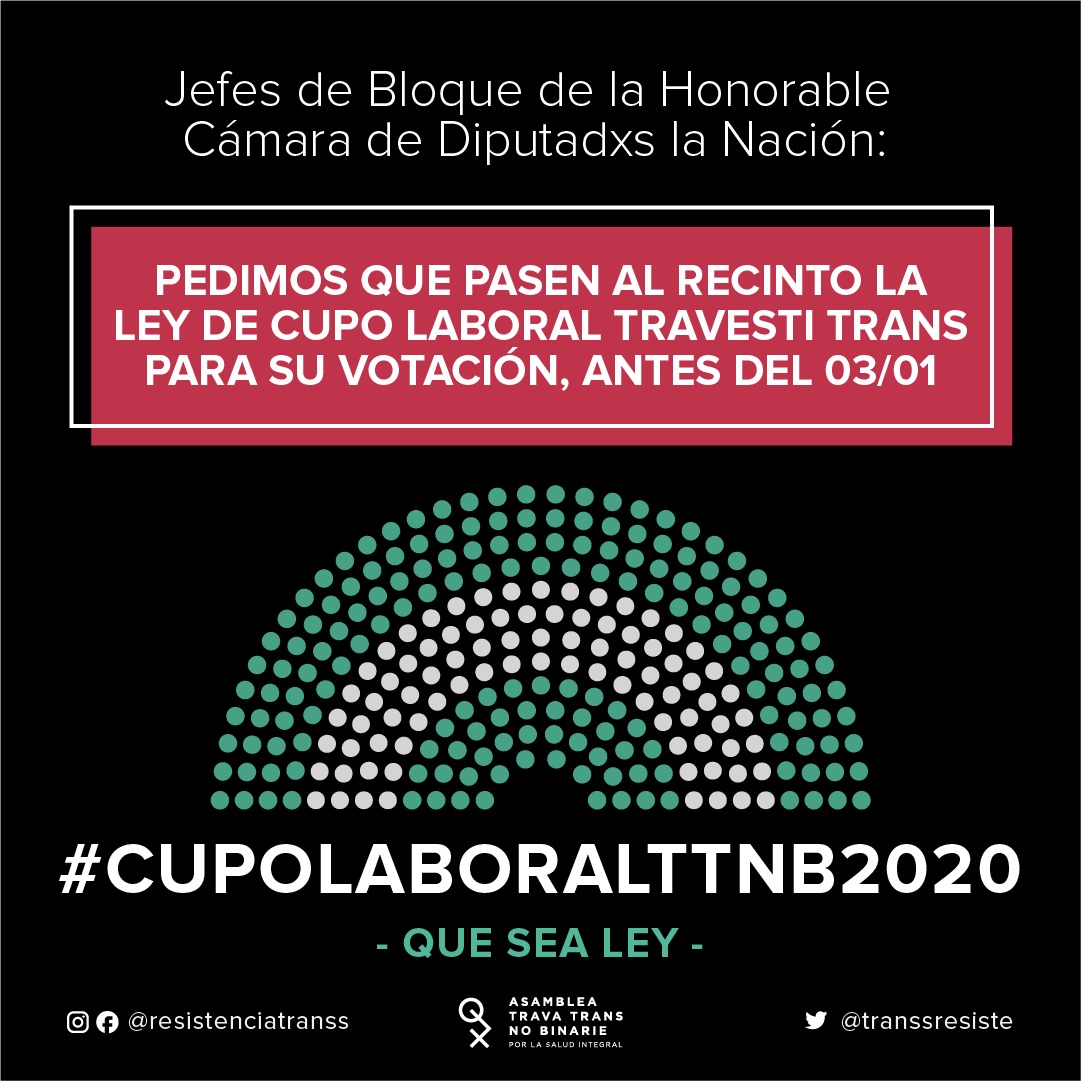 Flyer de la campaña dice: Jefes de bloque de la Honorable Cámara de Diputadxs de la Nación: Pedimos que pasen al Recinto la ley de cupo laboral travesti trans para su votación antes del 3 de enero. #cupolaboralTTNB2020 - Que sea ley - Asamblea Trava Trans Nobinarie por la Salud Integral. Facebook e Instagram @resistenciatranss. Twitter @transsresiste. Ilustra el volante un esquema de las bancas de la Cámara de Diputades ordenadas en semicírculo, con los colores celeste y blanco